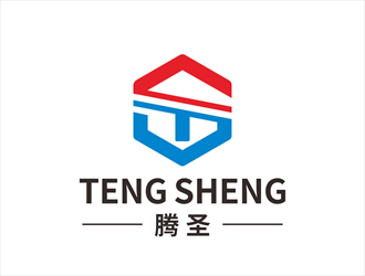 唐國強的騰圣有機玻璃工藝制品logo設(shè)計