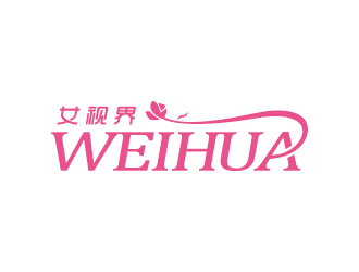 王濤的女視界logo設(shè)計(jì)