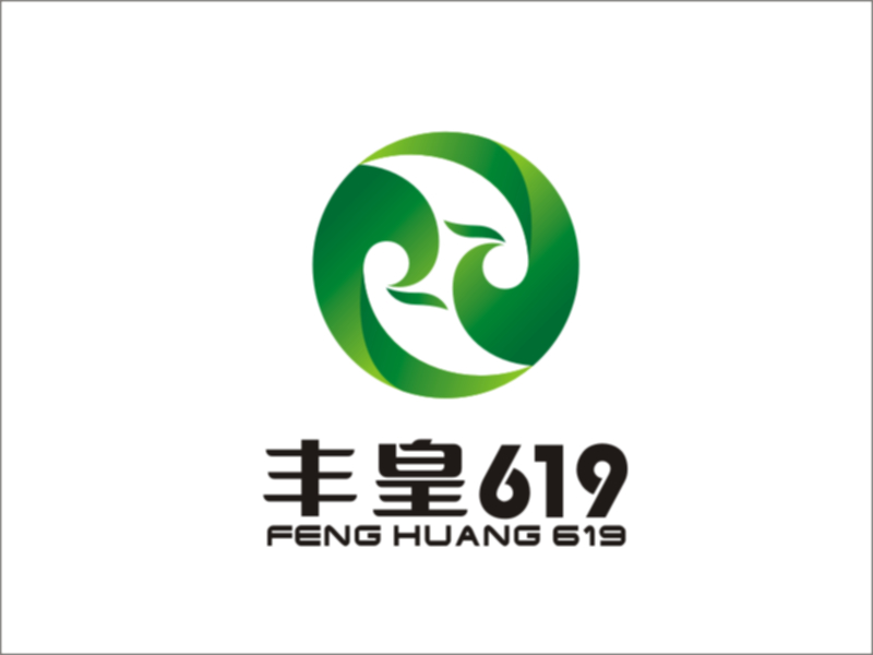 梁宗龍的豐皇619logo設計