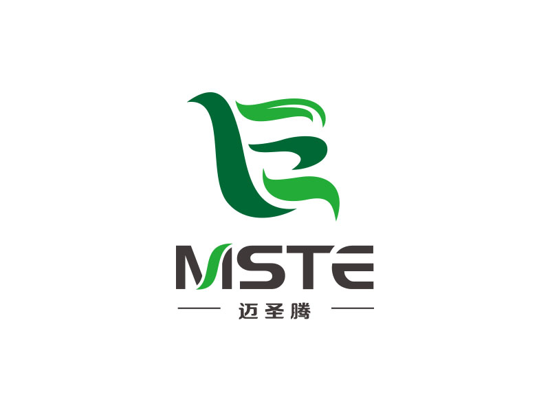 朱紅娟的MSTE 邁圣騰logo設(shè)計(jì)