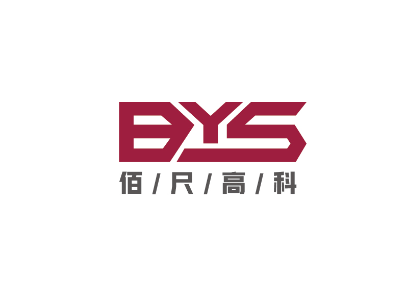 李寧的BYS     ----佰尺高科（北京）科技有限公司logo設(shè)計(jì)