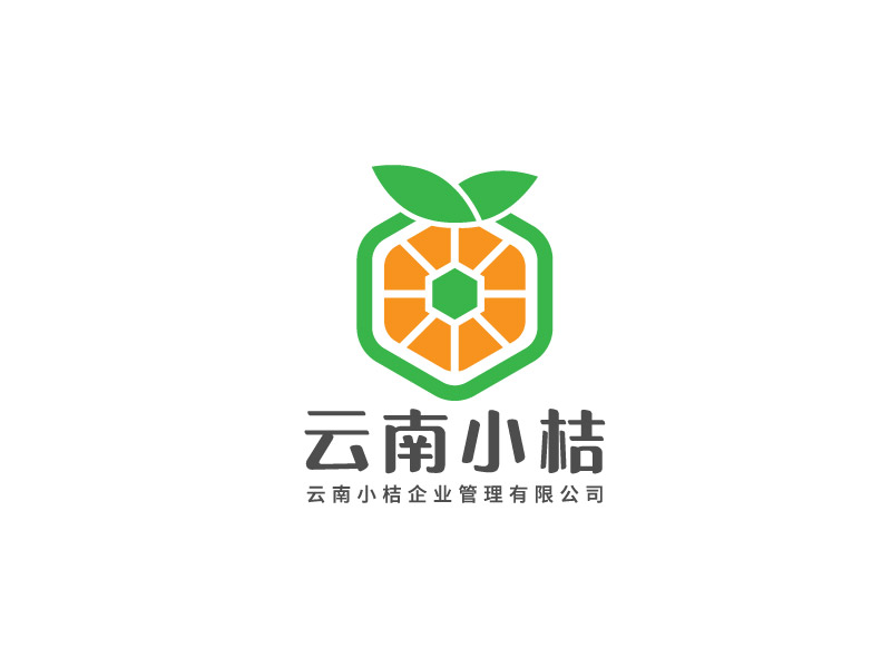 李寧的云南小桔企業(yè)管理有限公司logo設(shè)計(jì)